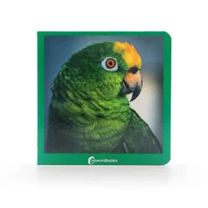 Libro fotografías Verde Nowordbooks