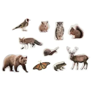 IMANES ANIMALES DEL BOSQUE Nowordbooks