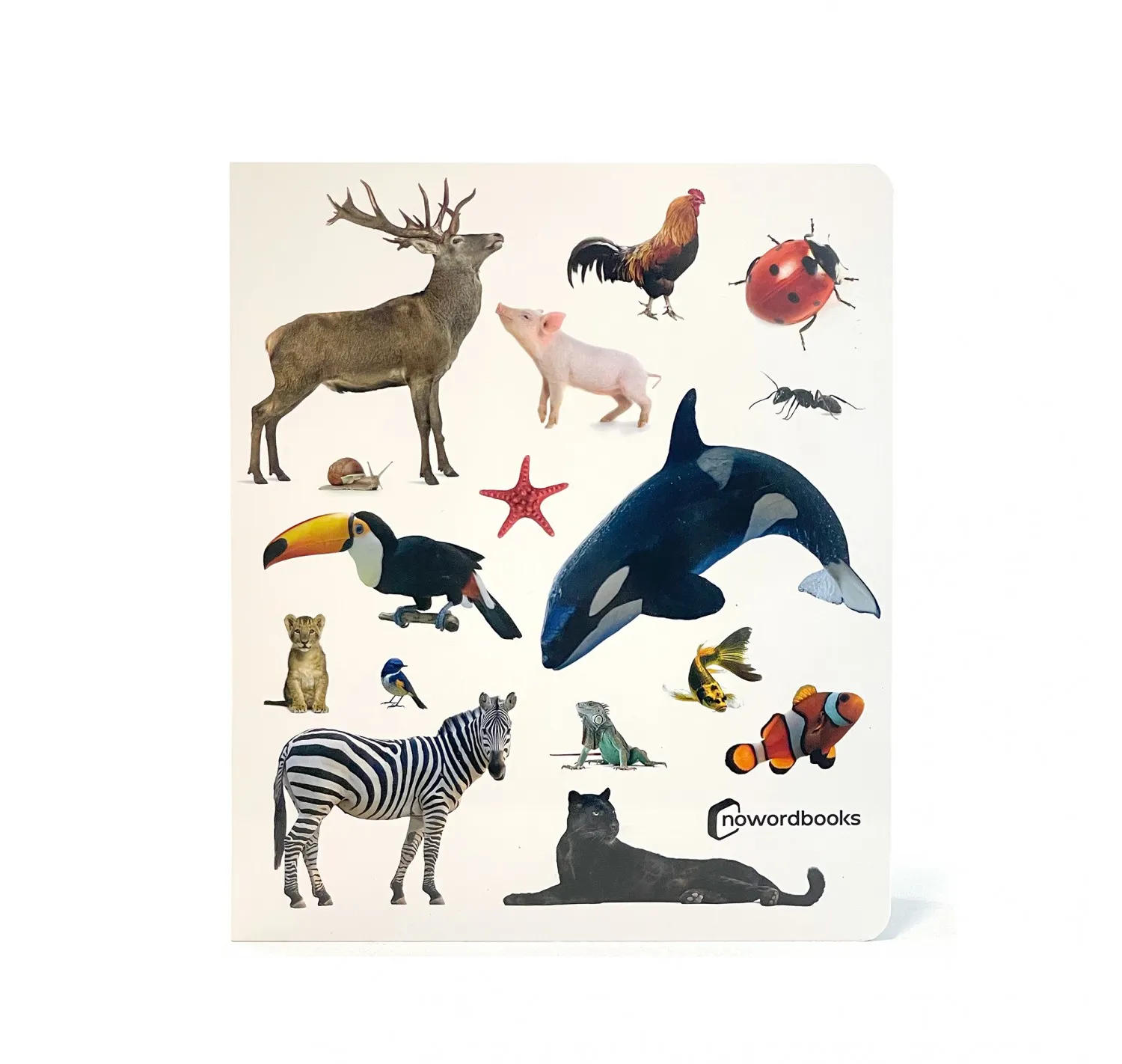 ¡Animales! - Imagen 2