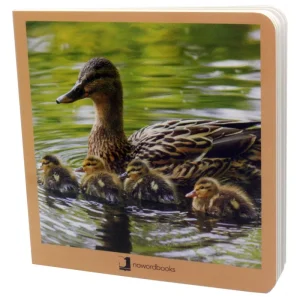 Animales en Familia I Nowordbooks