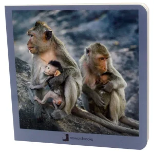 Animales en Familia II Nowordbooks