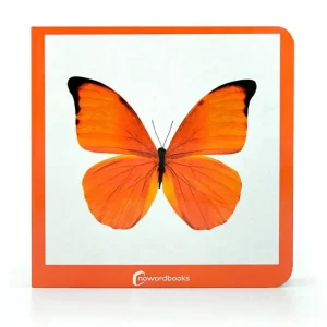 Libro fotografías Naranja Nowordbooks