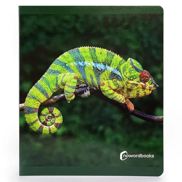 Libro fotografías grande Los animales de la Selva Nowordbooks