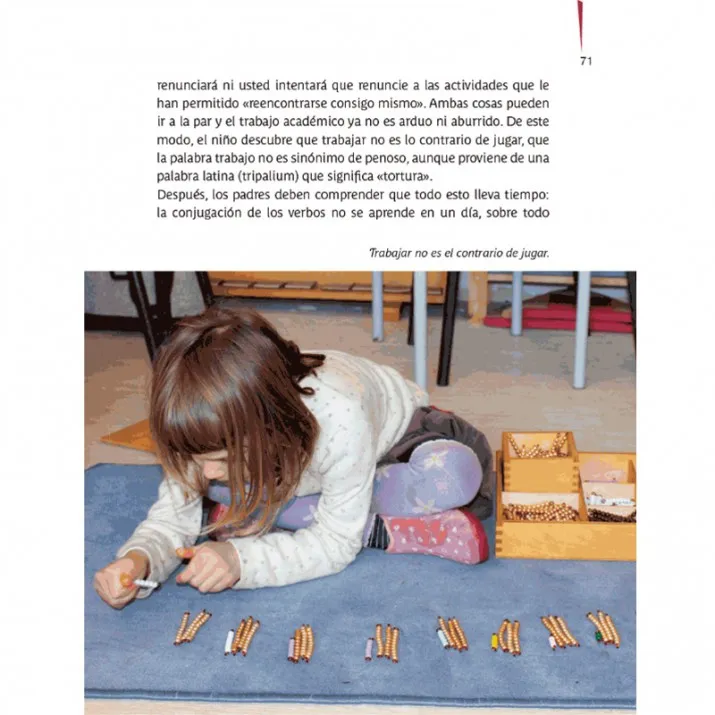MONTESSORI: CUANDO LOS NIÑOS EMPIEZAN DESPUÉS DE 6 AÑOS, ESCUELA VIVA - Imagen 5