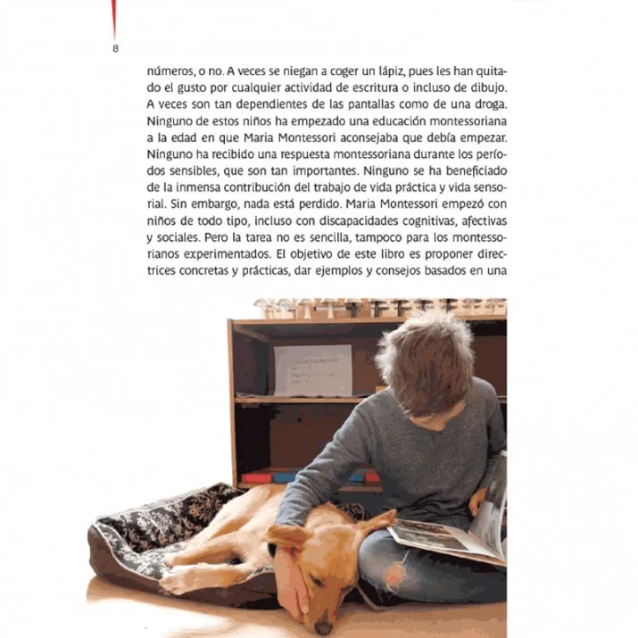 MONTESSORI: CUANDO LOS NIÑOS EMPIEZAN DESPUÉS DE 6 AÑOS, ESCUELA VIVA - Imagen 4