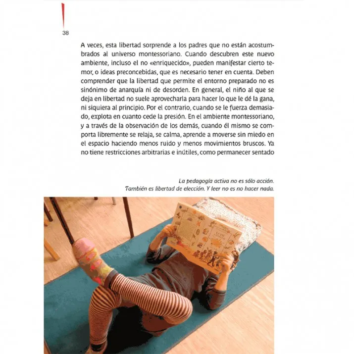 MONTESSORI: CUANDO LOS NIÑOS EMPIEZAN DESPUÉS DE 6 AÑOS, ESCUELA VIVA - Imagen 3